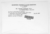 Image Associated With the Occurence